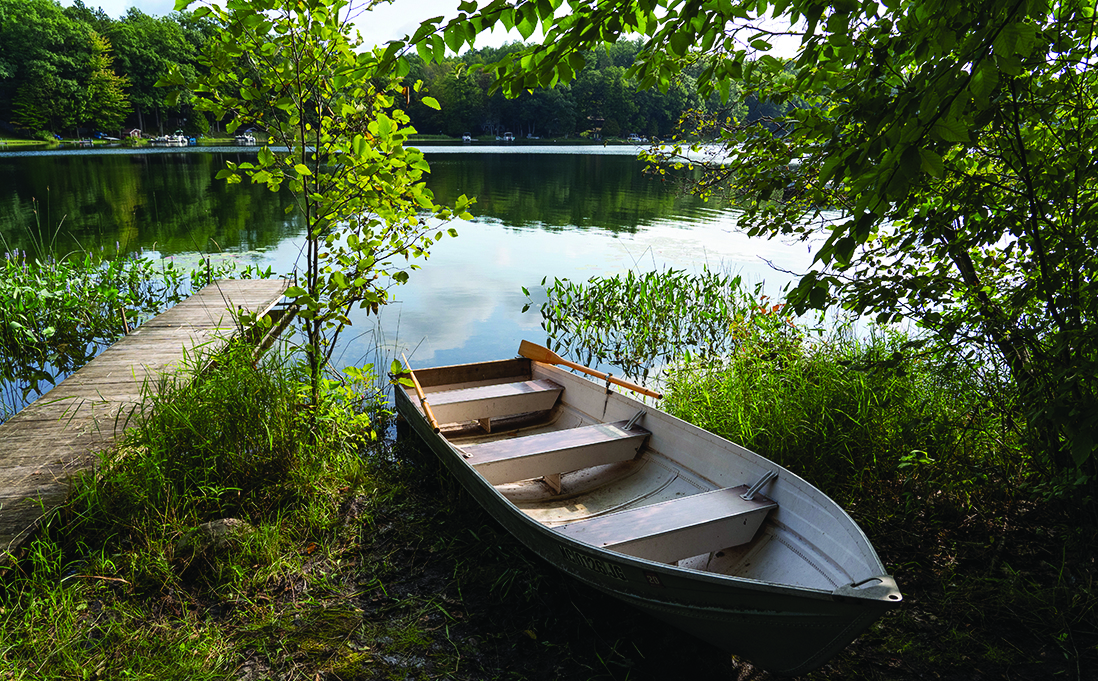 Plants next to a canoe.